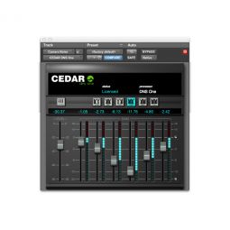 Cedar DNS-One Dialog Noise Suppressor