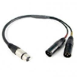 Remote Audio CAXSTE 5 pin female XLR wired for stereo to two